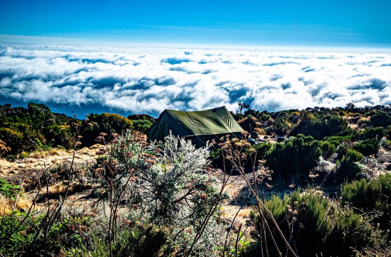 Canvas tent above the clouds in moorland on Mount Kilimanjaro