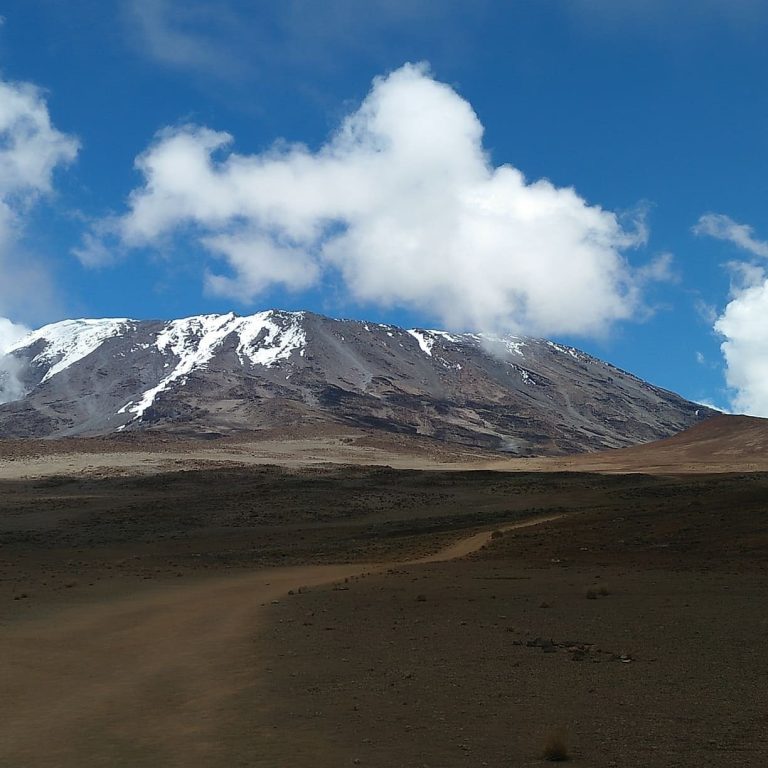 Dirt trail across the saddle below kibo on Mount Kilimanjaro