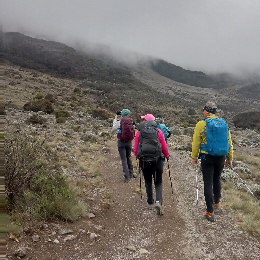 Four trekkers walking a moorland trail under low cloud on Mount Kilimanjaro