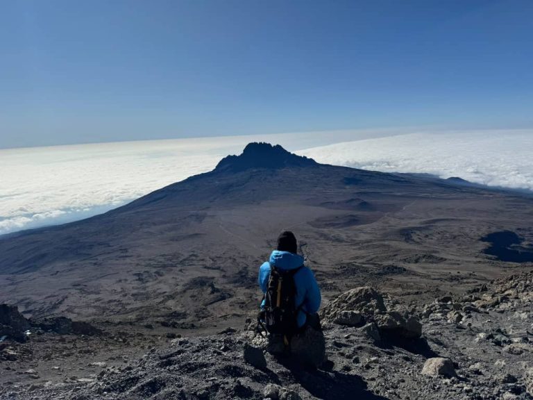 Lone trekker in blue jacket facing mawenzi on Mount Kilimanjaro