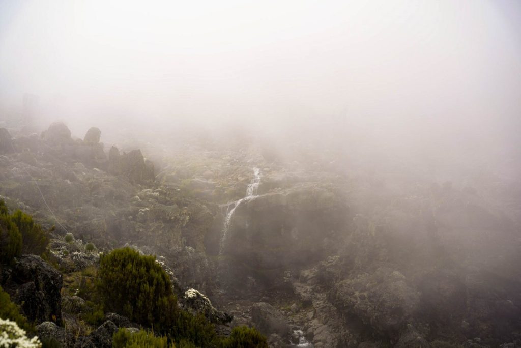 Misty moorland stream and waterfall in thick cloud on Mount Kilimanjaro