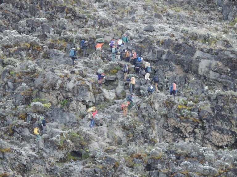 Porters and trekkers queueing up a rocky moorland wall on Mount Kilimanjaro