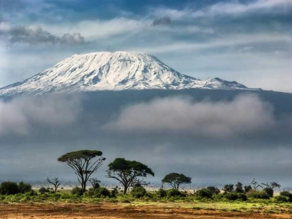 Snow capped Kibo rising above acacia savannah and a bank of cloud
