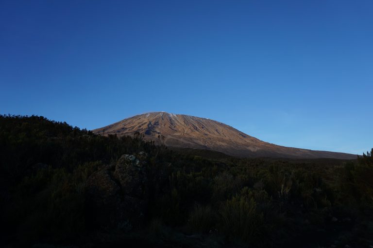 Sunlit kibo dome above dark moorland scrub on Mount Kilimanjaro