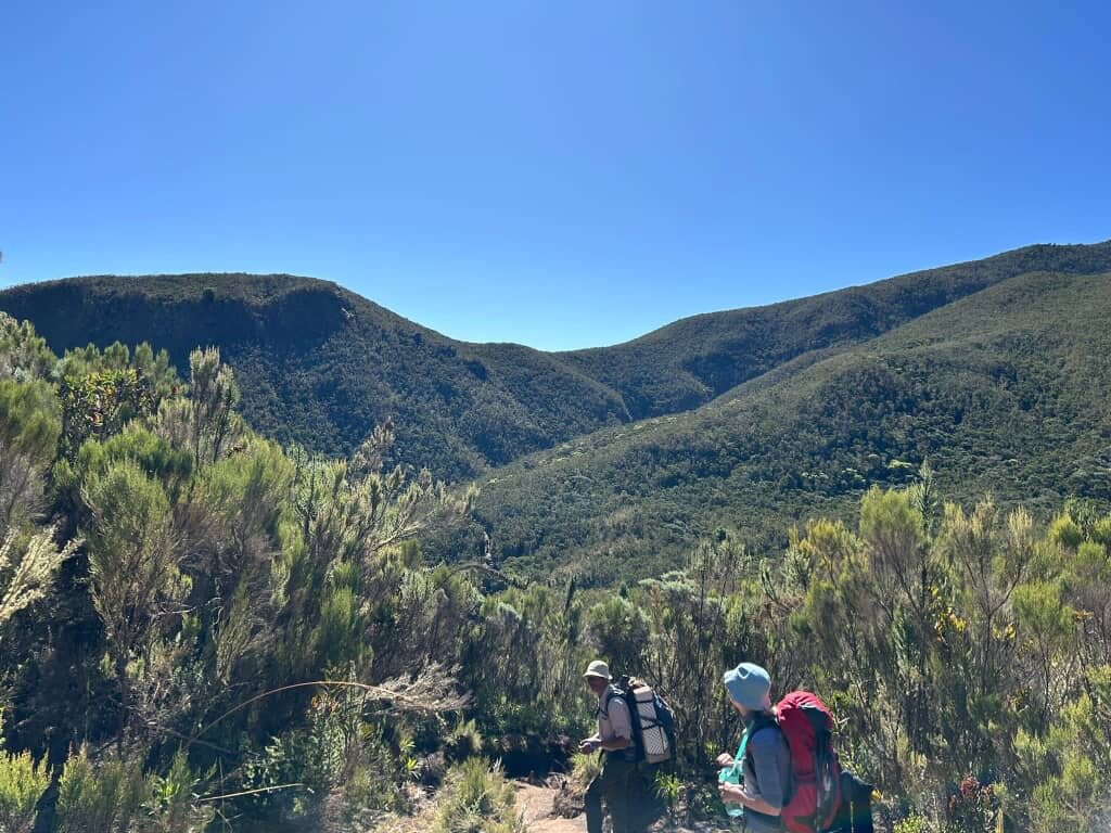 Two hikers in moorland above forested valley on Mount Kilimanjaro
